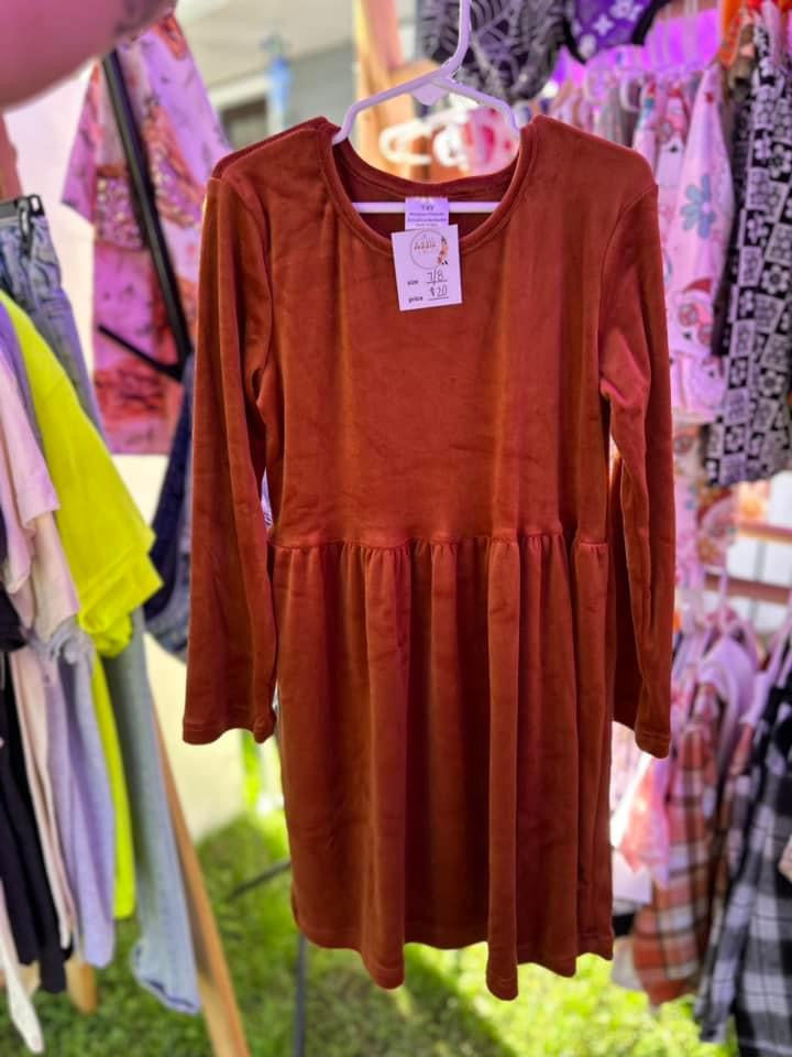 Fall velvet dress